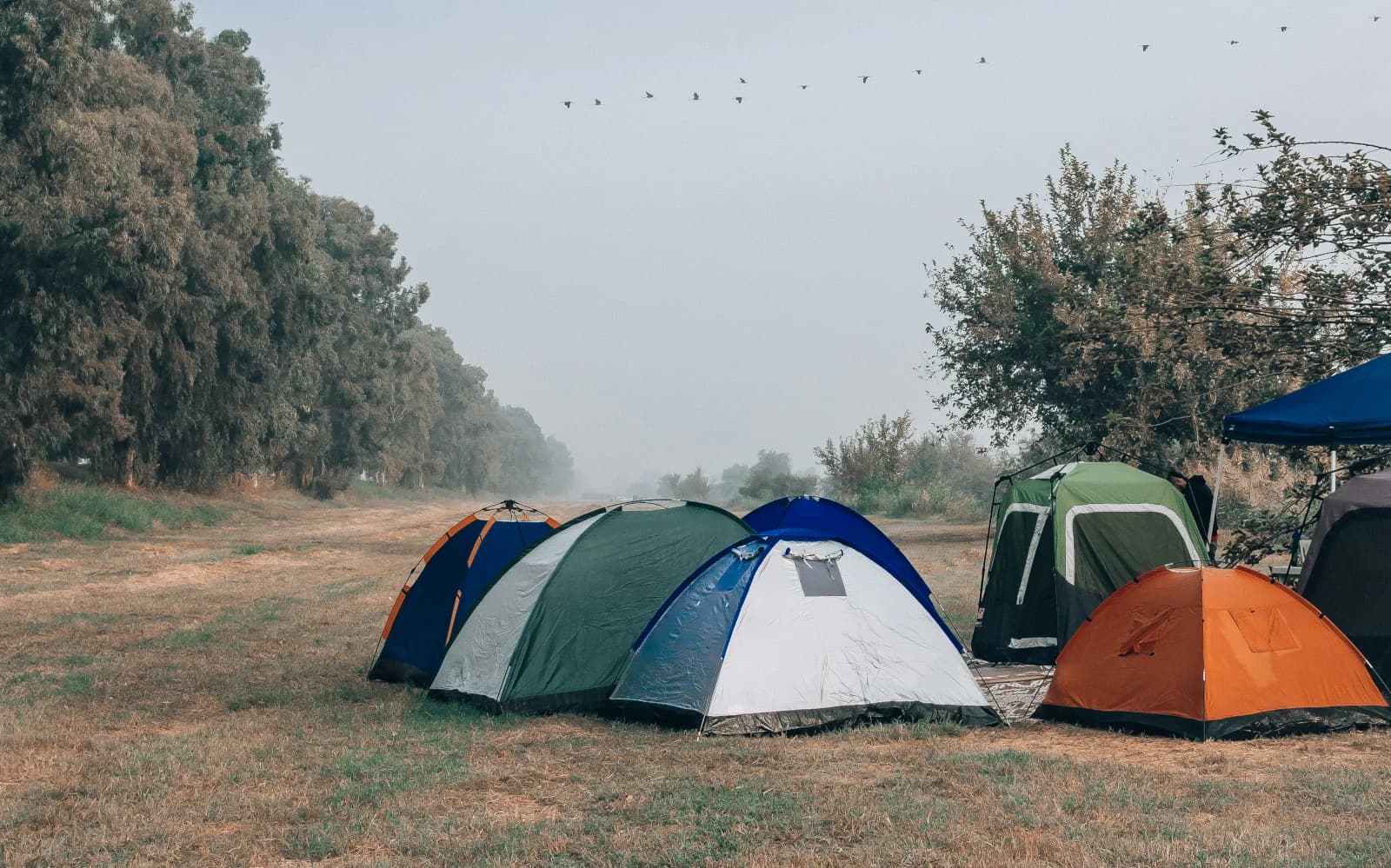 A cluster of family-sized tents and an awning pitched together in an open field