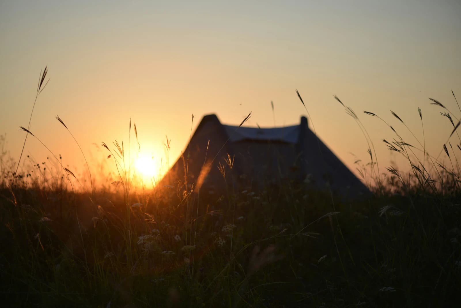 A lone tent silhouetted against the sunset through long grass